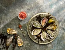 Pembrokeshire Rock Oysters