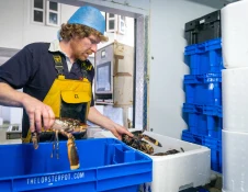 Lobster Pot manufacturing