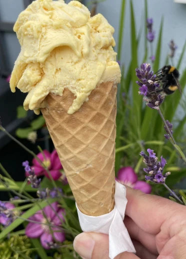 Fire and Ice Passion Sorbet