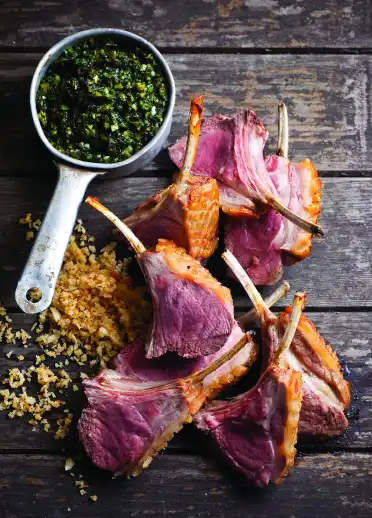 lamb
